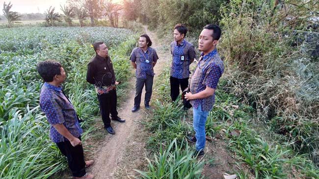 Wawali Probolinggo bersama manager Pln Prob-Pasuruan saat survei lokasi RS baru (istimewa)