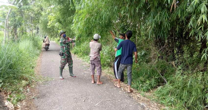 Pelaksanaan pembersihan jalan kampung Desa Kertosono.