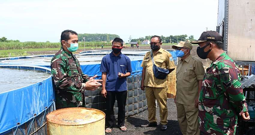 Dandim Bersama Ketua DPRD Probolinggo Kunjungi Pembudidaya Udang Vaname