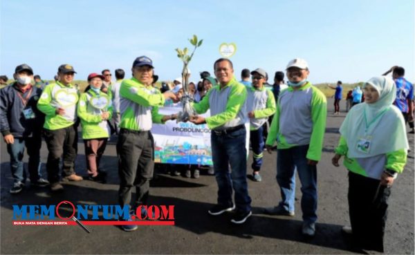 Sebanyak 1.500 Bibit Pohon Mangrove Ditanam di Pantai Permata Pilang Probolinggo